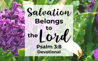Psalm 3:8 Devotional Salvation Belongs to the Lord