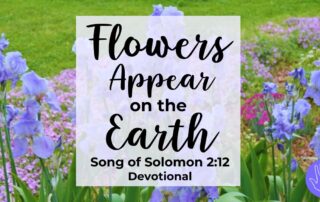 Song of Solomon 2:12 Flowers Appear on the Earth
