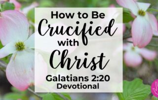 Galatians 2:20 Devotional Crucified with Christ