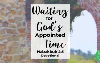 Habakkuk 2:3 Devotional Waiting for God's Appointed Time