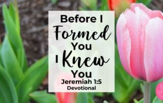 Jeremiah 1:5 Devotional Before I Formed You I Knew You