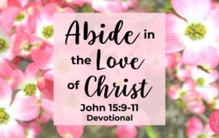 John 15:9-11 Devotional Abide in the Love of Christ