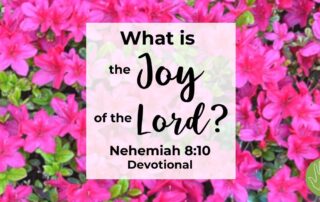 Nehemiah 8:10 Devotional What is the Joy of the Lord