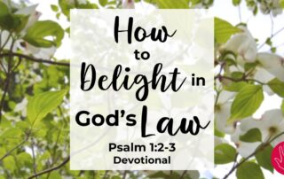 Psalm 1:2-3 Devotional How to Delight in God's Law