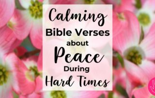 Calming Bible Verses about Peace During Hard Times