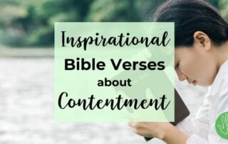 Inspirational Bible Verses about Contentment