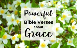 Powerful Bible Verses about Grace