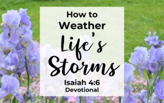 Isaiah 4:6 Devotional How to Weather Life's Storms