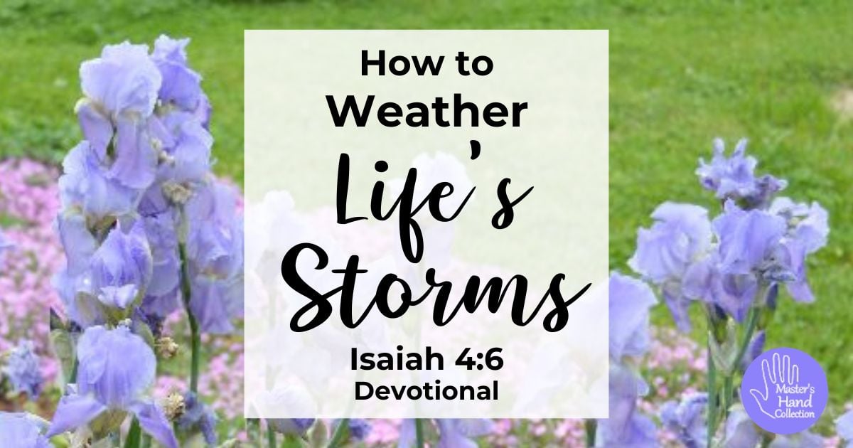 Isaiah 4:6 Devotional How to Weather Life's Storms
