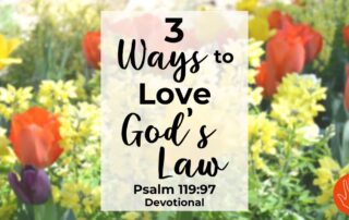 Psalm 119:97 Devotional 3 Ways to Love God's Law