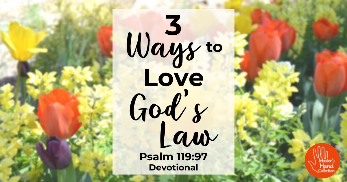 Psalm 119:97 Devotional 3 Ways to Love God's Law