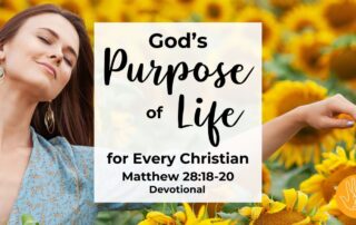 Matthew 28:18-20 Devotional God's Purpose of Life for Every Christian