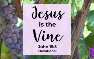 John 15:5 Devotional Jesus is the Vine