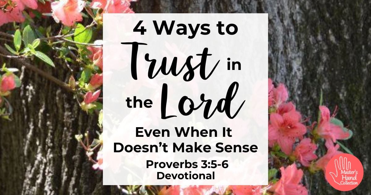 Proverbs 3:5-6 Devotional Trust in the Lord