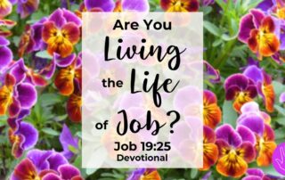 Job 19:25 Devotional Are You Living the Life of Job