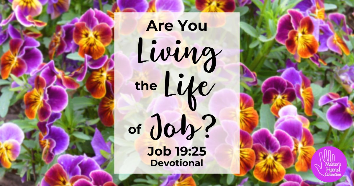 Job 19:25 Devotional Are You Living the Life of Job