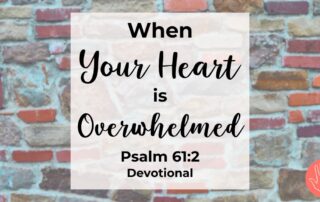 Psalm 61:2 Devotional When Your Heart is Overwhelmed