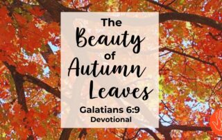 The Beauty of Autumn Leaves Fall Devotional on Galatians 6:9