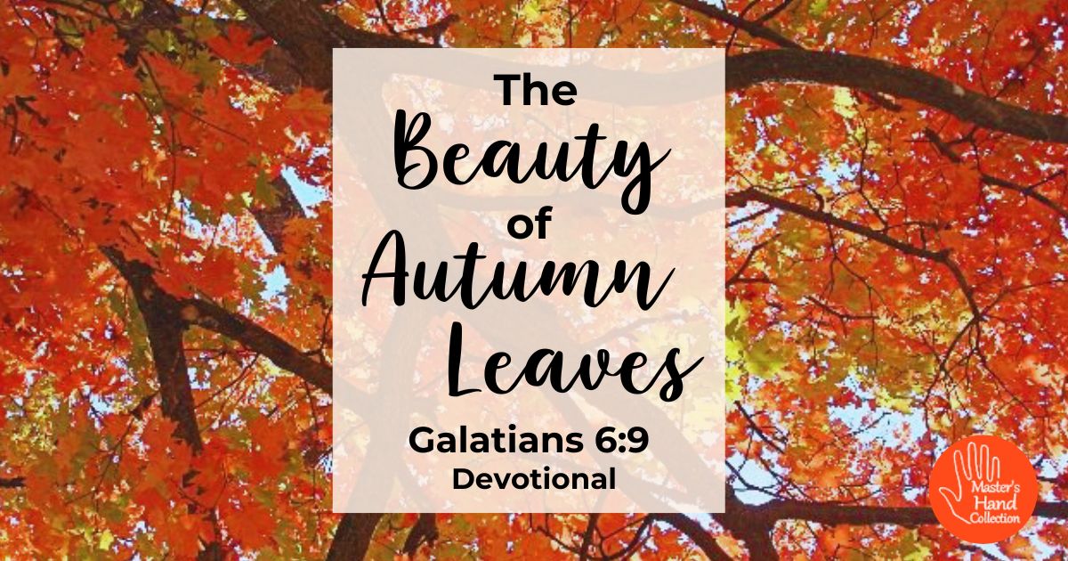The Beauty of Autumn Leaves Fall Devotional on Galatians 6:9