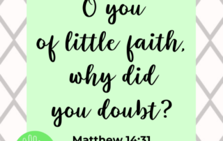 Matthew 14:31 Meaning You of Little Faith Why Did You Doubt Bible Verse