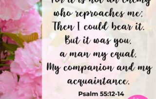 Psalm 55:12-14 Meaning It was not a foe Bible Verse